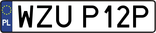 WZUP12P