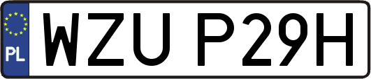 WZUP29H