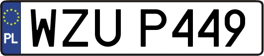 WZUP449