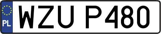 WZUP480