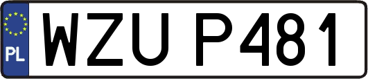 WZUP481