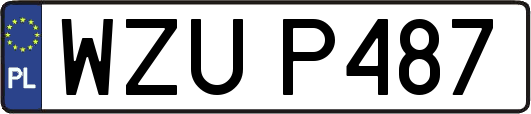 WZUP487