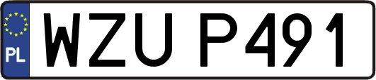 WZUP491