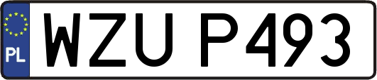 WZUP493