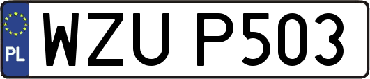 WZUP503
