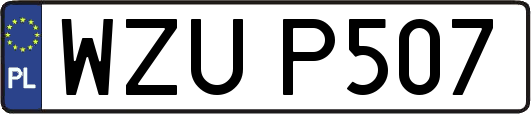 WZUP507