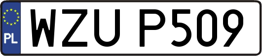 WZUP509