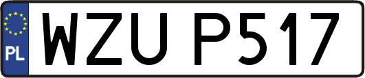 WZUP517