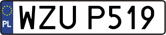 WZUP519