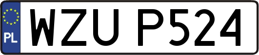 WZUP524