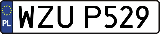 WZUP529