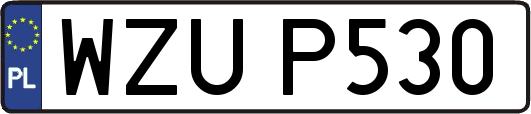 WZUP530