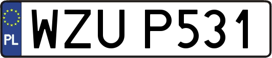 WZUP531