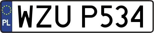 WZUP534