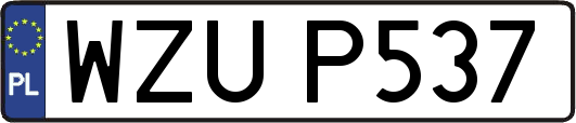 WZUP537