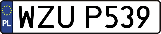 WZUP539