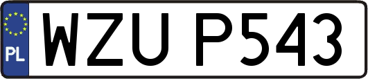 WZUP543