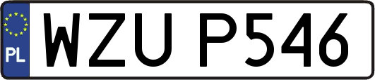 WZUP546