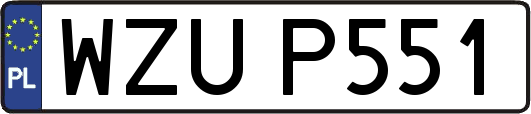 WZUP551
