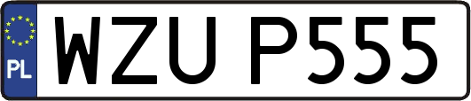 WZUP555