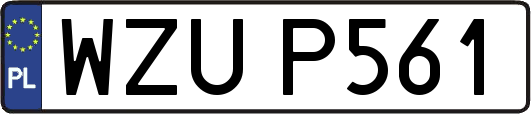 WZUP561