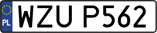 WZUP562