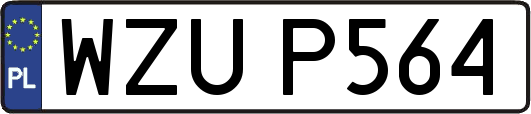 WZUP564