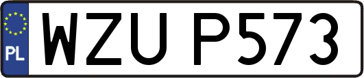 WZUP573