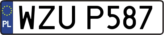 WZUP587