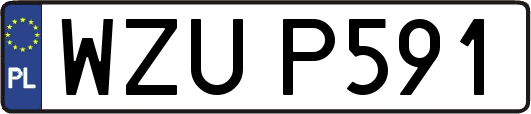 WZUP591