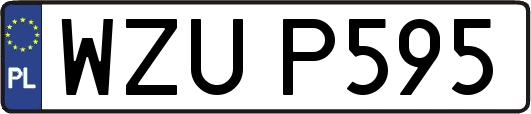 WZUP595