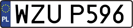 WZUP596
