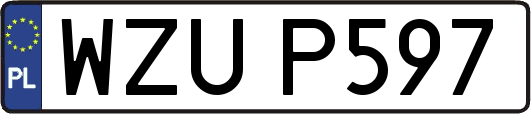 WZUP597
