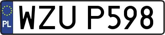 WZUP598
