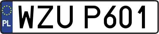 WZUP601