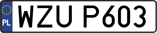 WZUP603