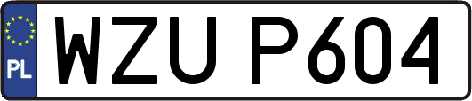 WZUP604