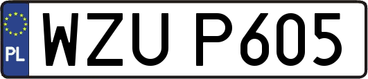 WZUP605
