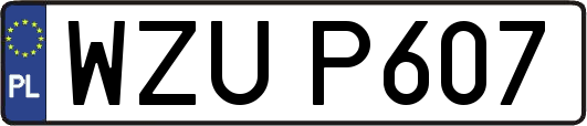 WZUP607