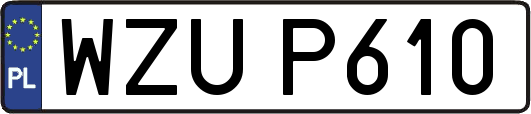 WZUP610