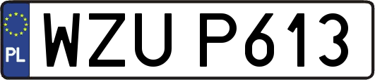 WZUP613