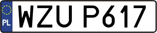 WZUP617