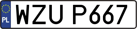 WZUP667