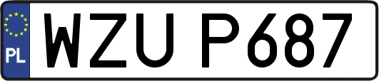 WZUP687