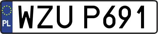 WZUP691