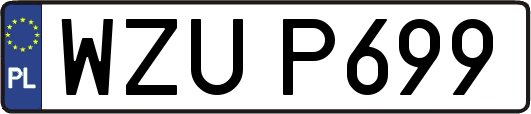 WZUP699