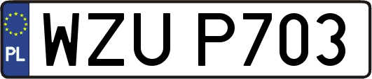 WZUP703