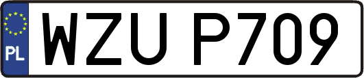 WZUP709