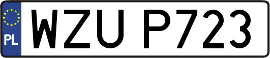 WZUP723