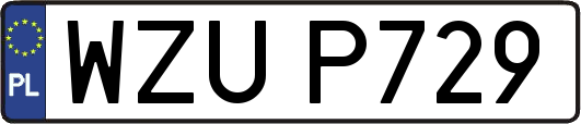 WZUP729